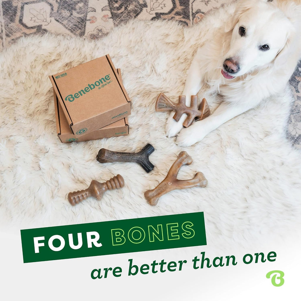 Medium 4-Pack Dog Toys A778