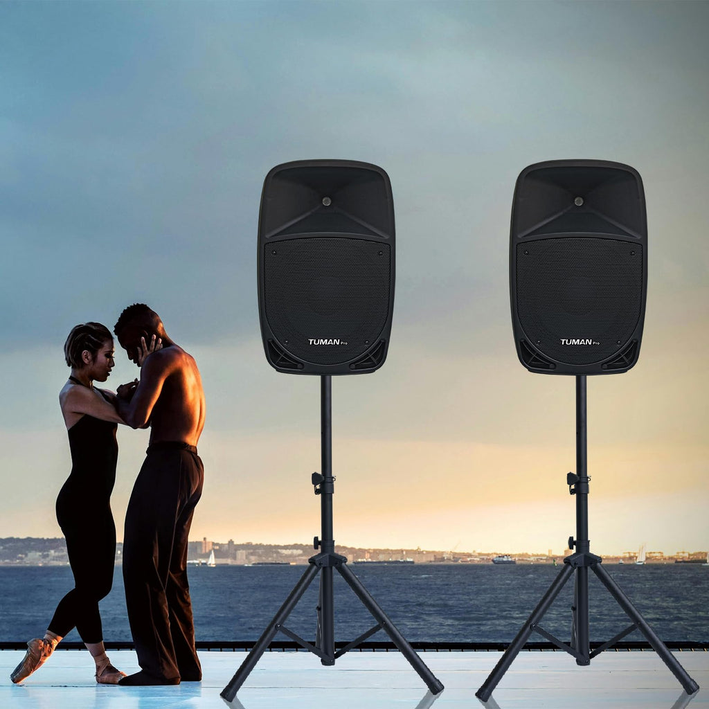 10 Inch 1200W PA Speaker System L1210