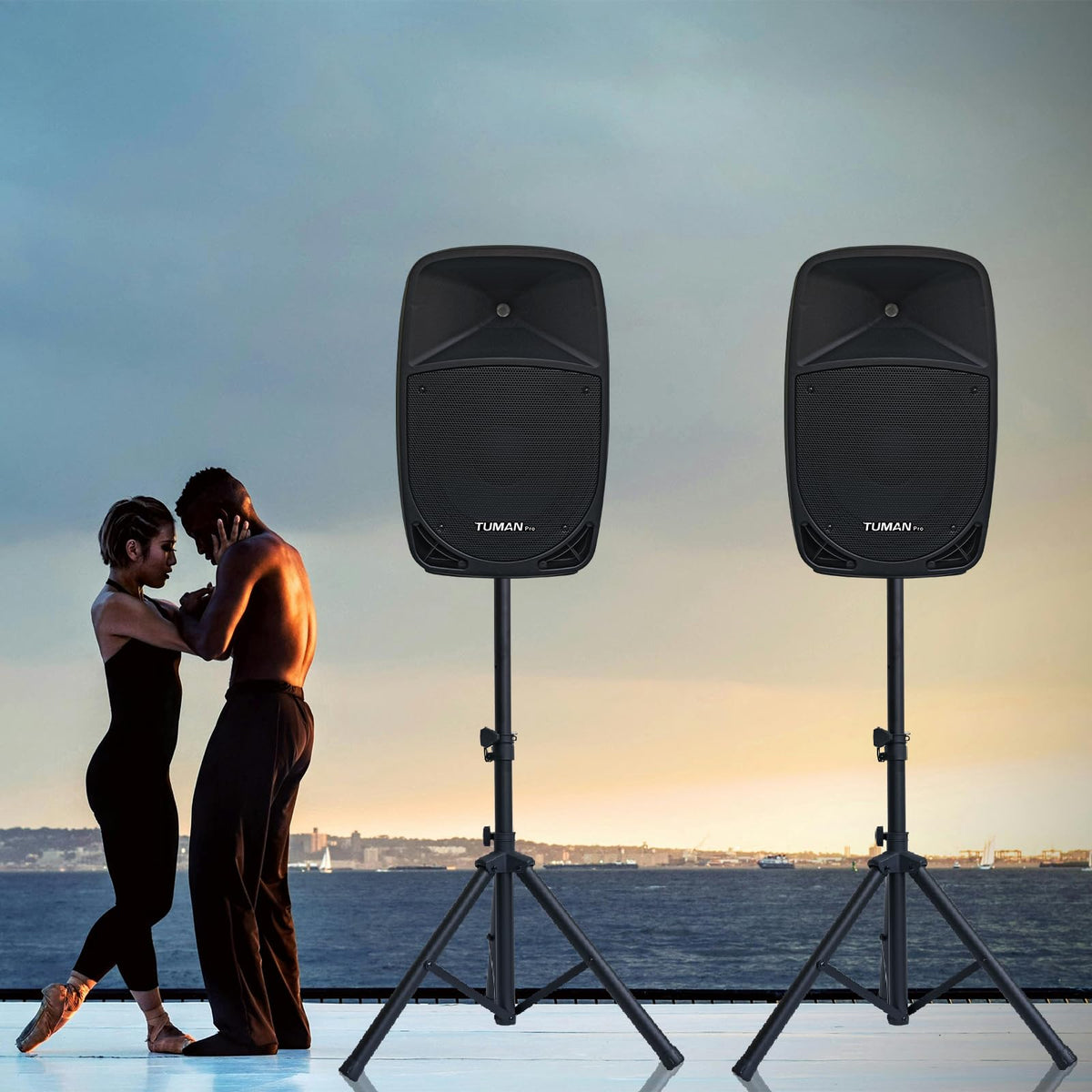 10 Inch 1200W PA Speaker System L1210