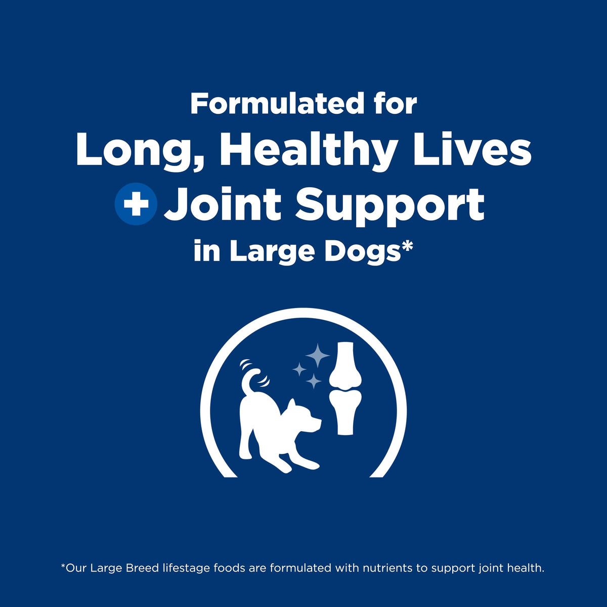 Dry Dog Food J2979