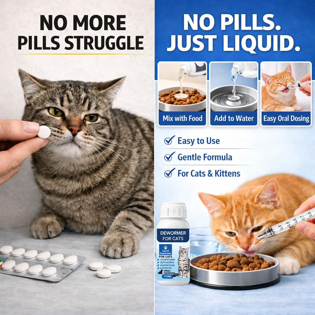 Broad Spectrum Cat Dewormer Liquid 4 oz N602208