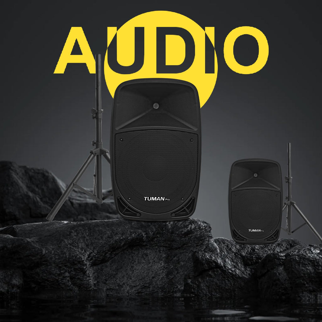 10 Inch 1200W PA Speaker System L1210