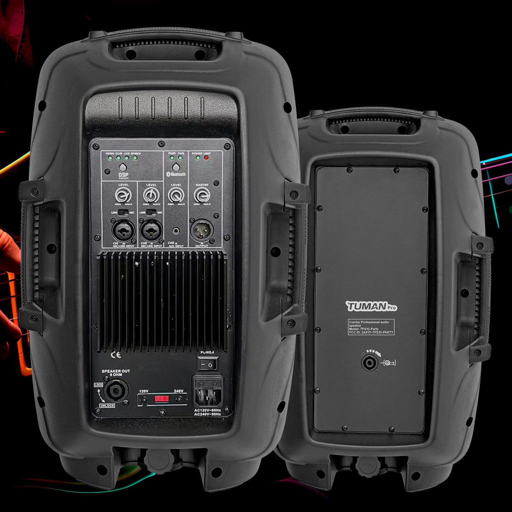 10 Inch 1200W PA Speaker System L1210