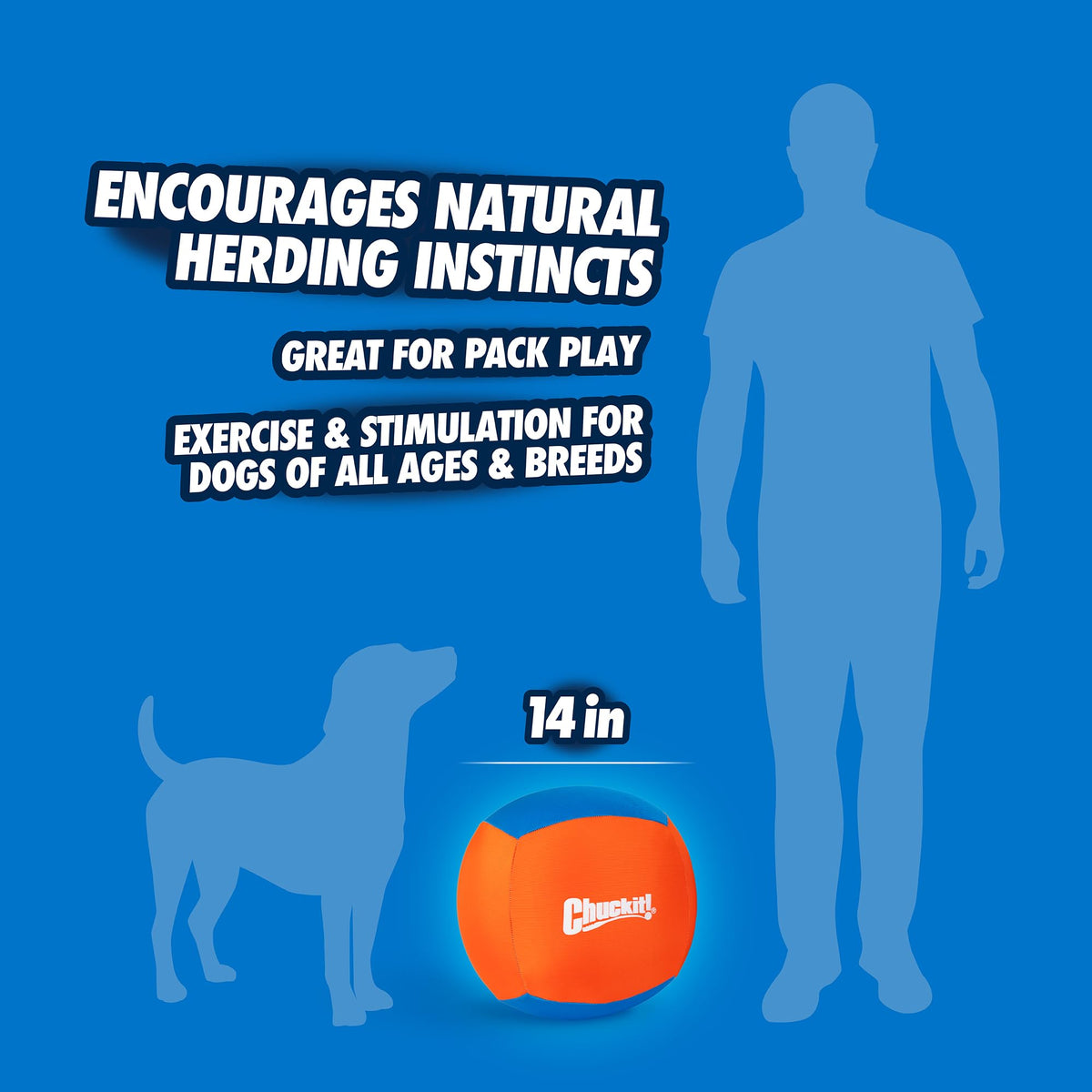 Dog Toy V7179