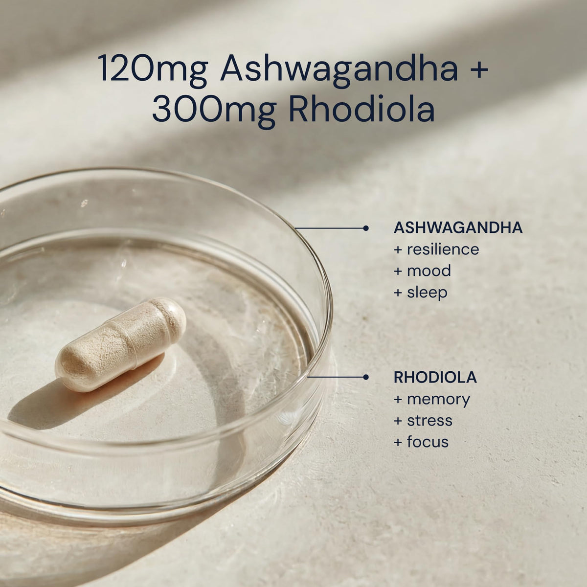 Ashwagandha & Rhodiola 120mg Adaptogen Capsules 30 Vegan Capsules D382