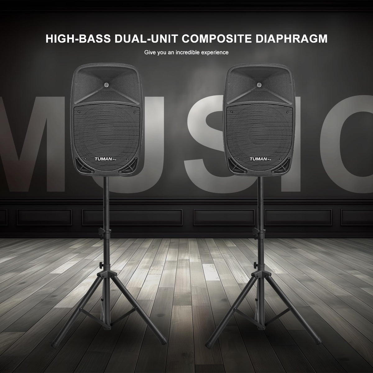 10 Inch 1200W PA Speaker System L1210