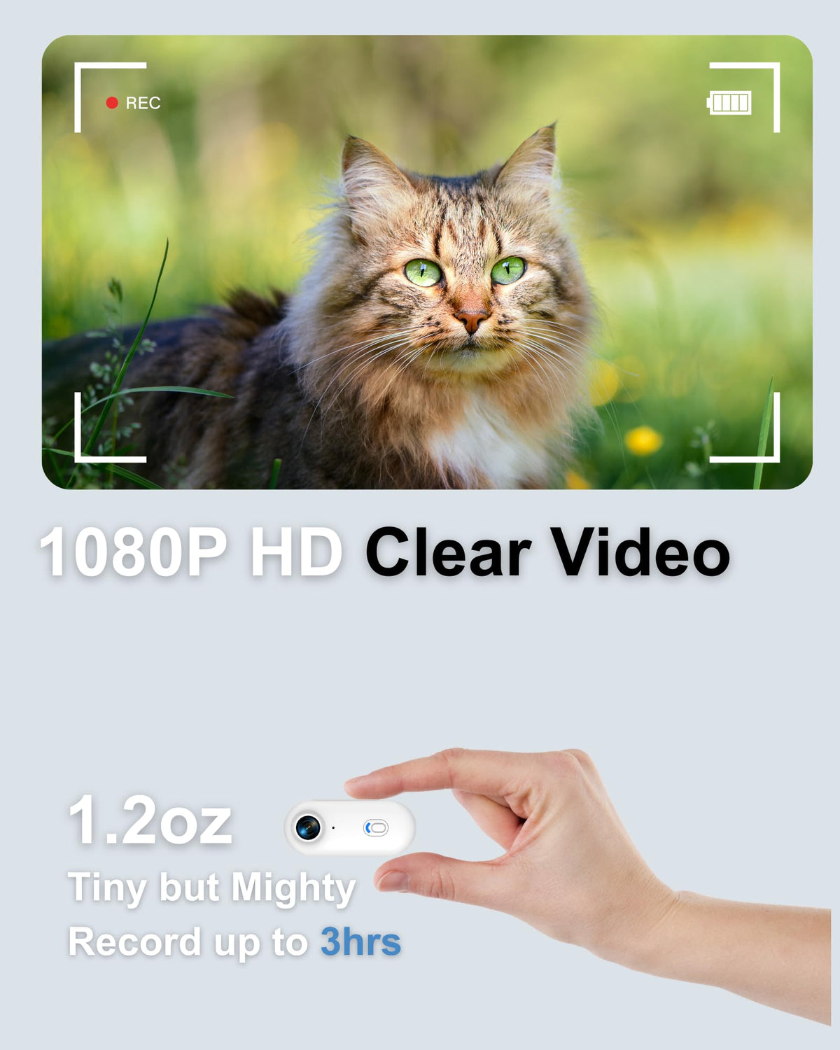 Camera Collar with Phone App & Tracker Tag X22979