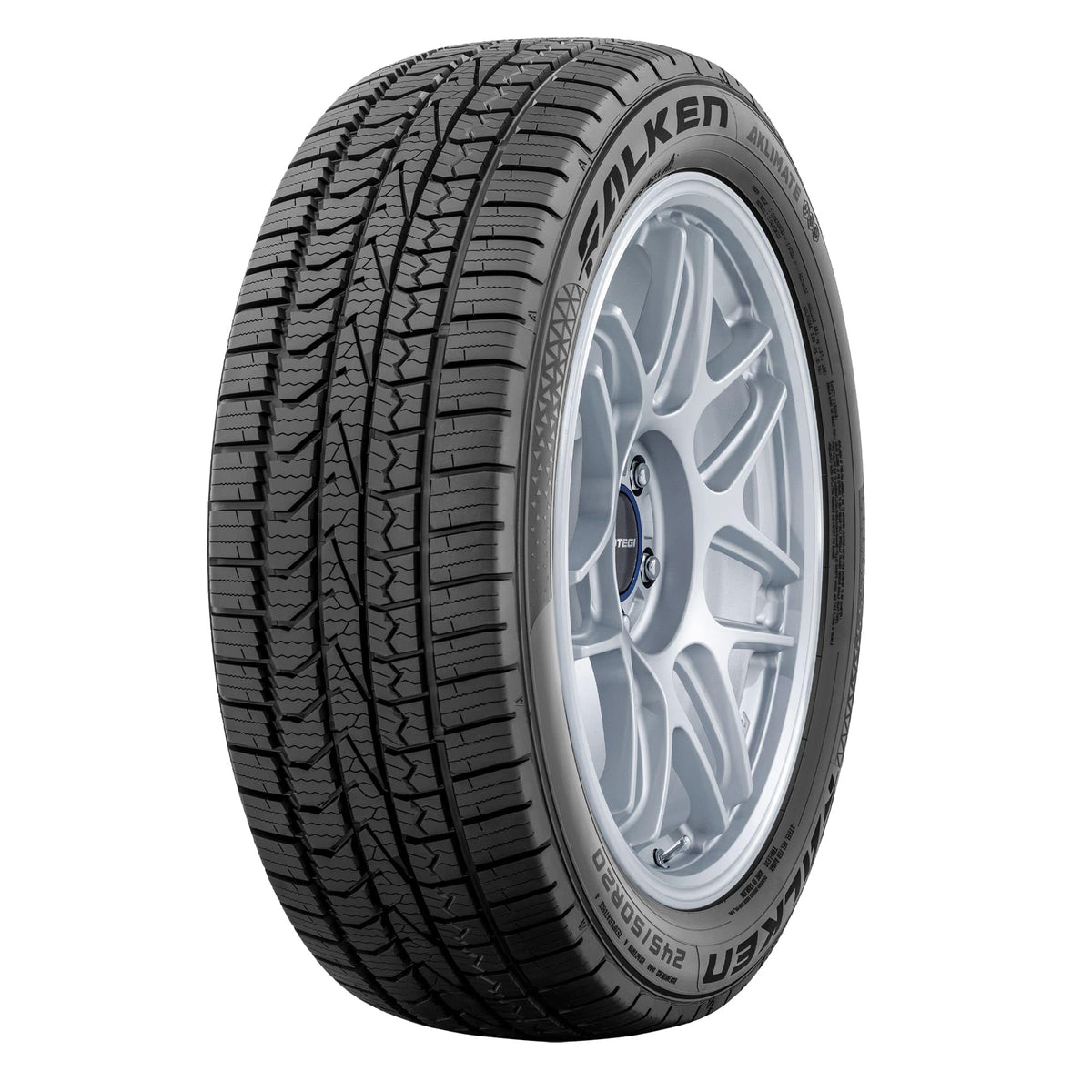 205/65R15 99H XL All Weather Passenger Tire R473549