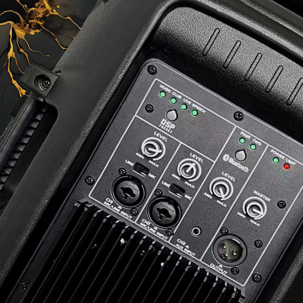 10 Inch 1200W PA Speaker System L1210