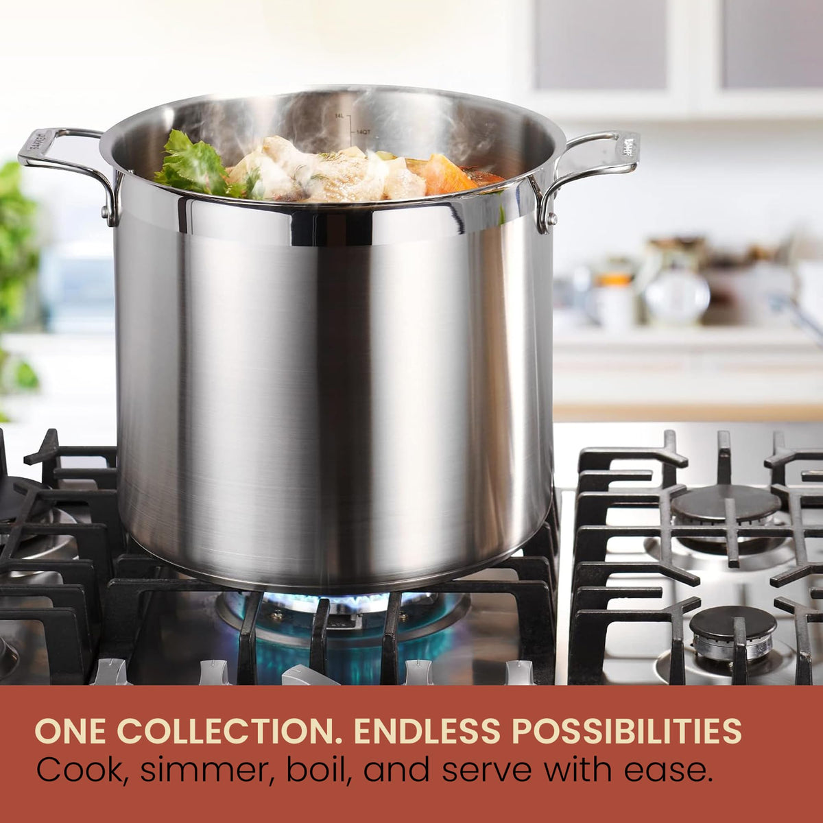 16 Quart Stainless Steel Stockpot with Lid E79809