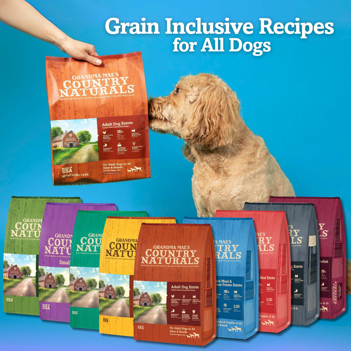Chicken & Brown Rice Dry Dog Food 24 LB Bag M28101