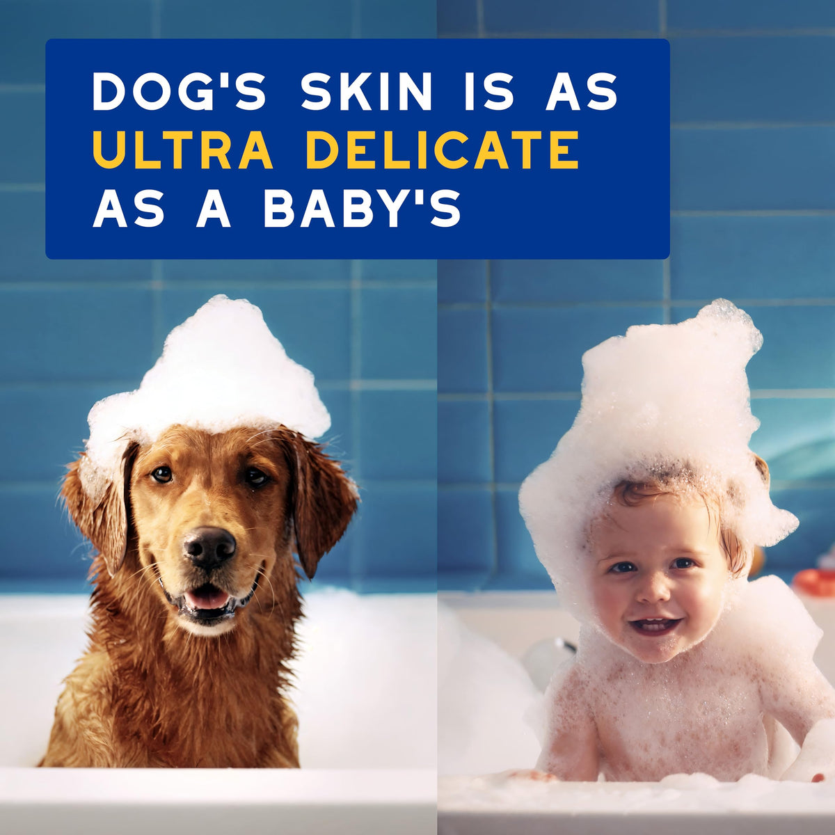 Oatmeal Dog Shampoo, 16 fl oz B765