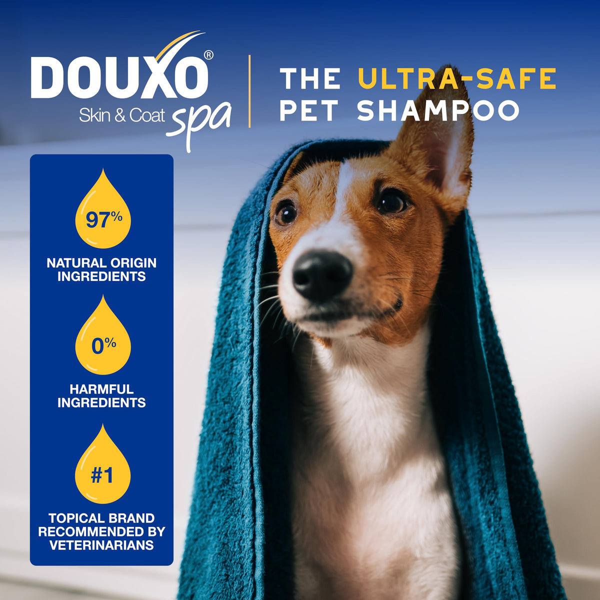 Oatmeal Dog Shampoo, 16 fl oz B765