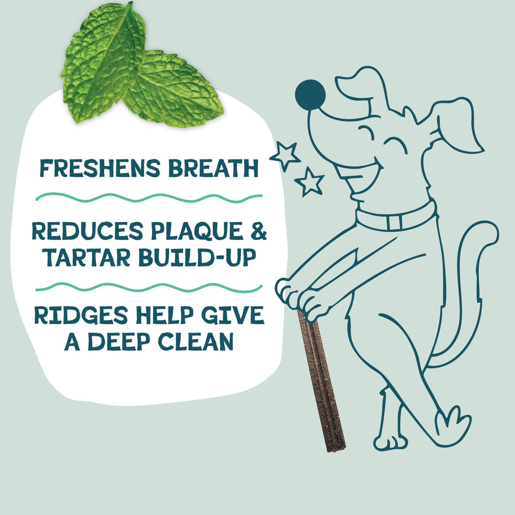 Mighty Mint Dental Chews for Dogs 18ct L67166