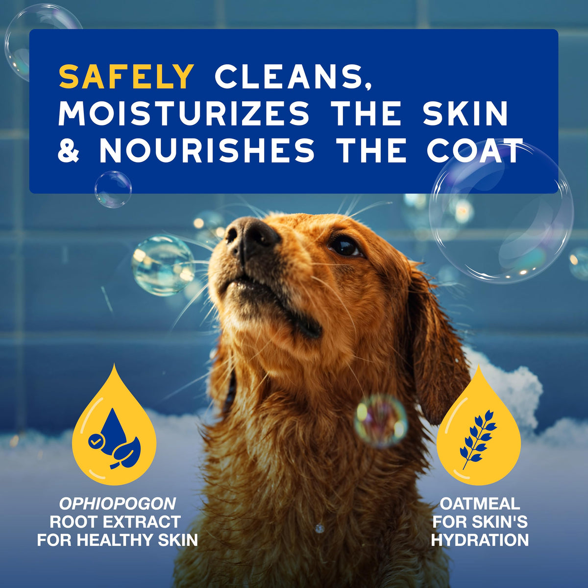 Oatmeal Dog Shampoo, 16 fl oz B765