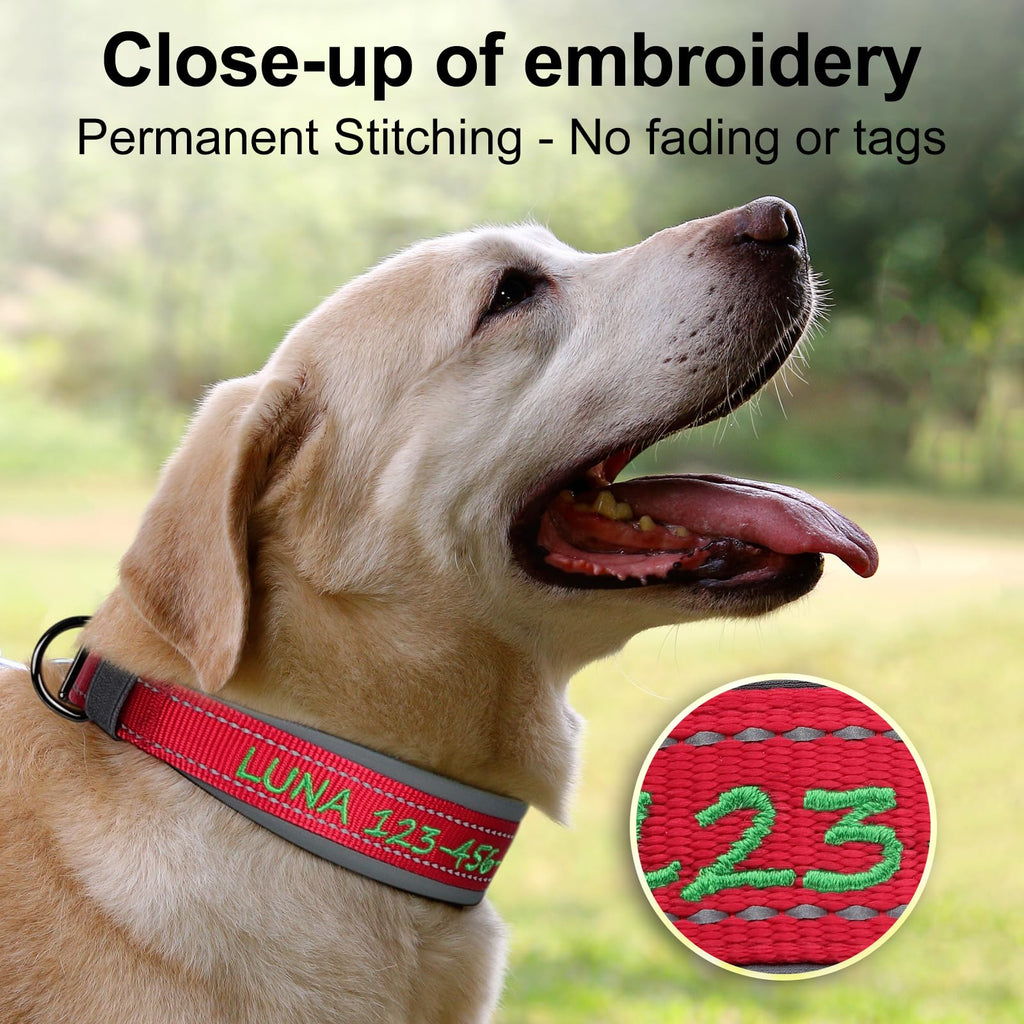 Personalized Dog Collar E276