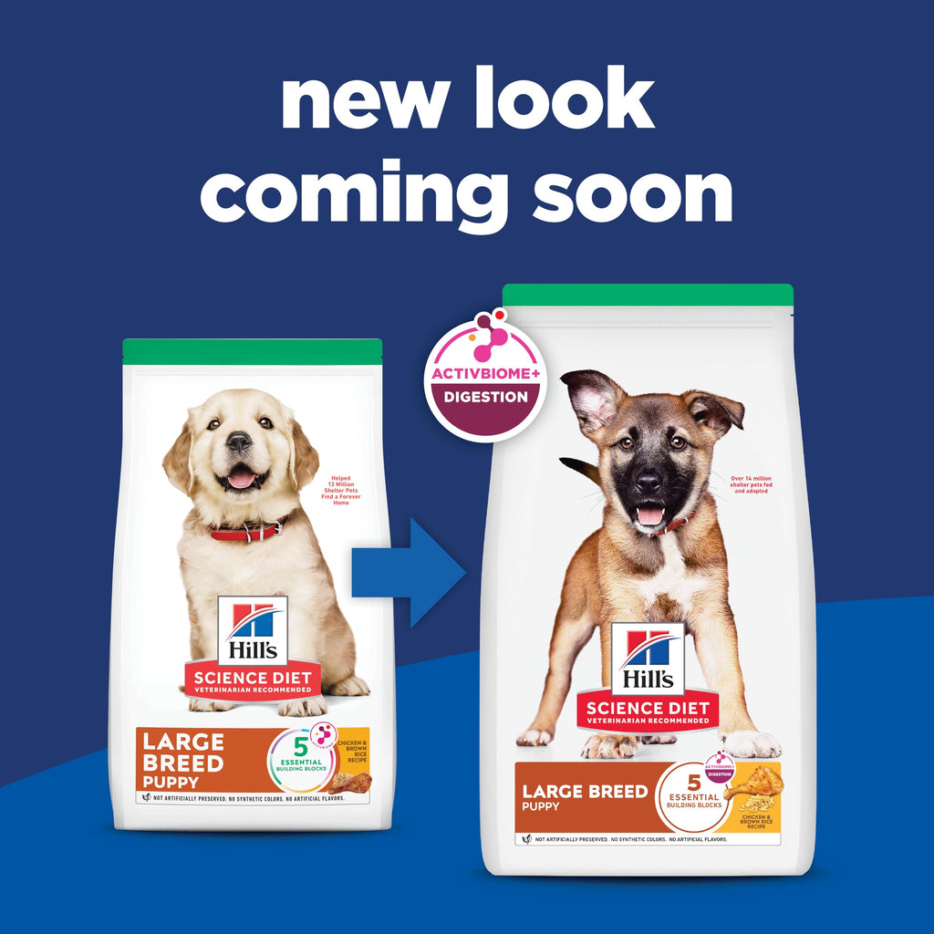 Dry Dog Food J2979