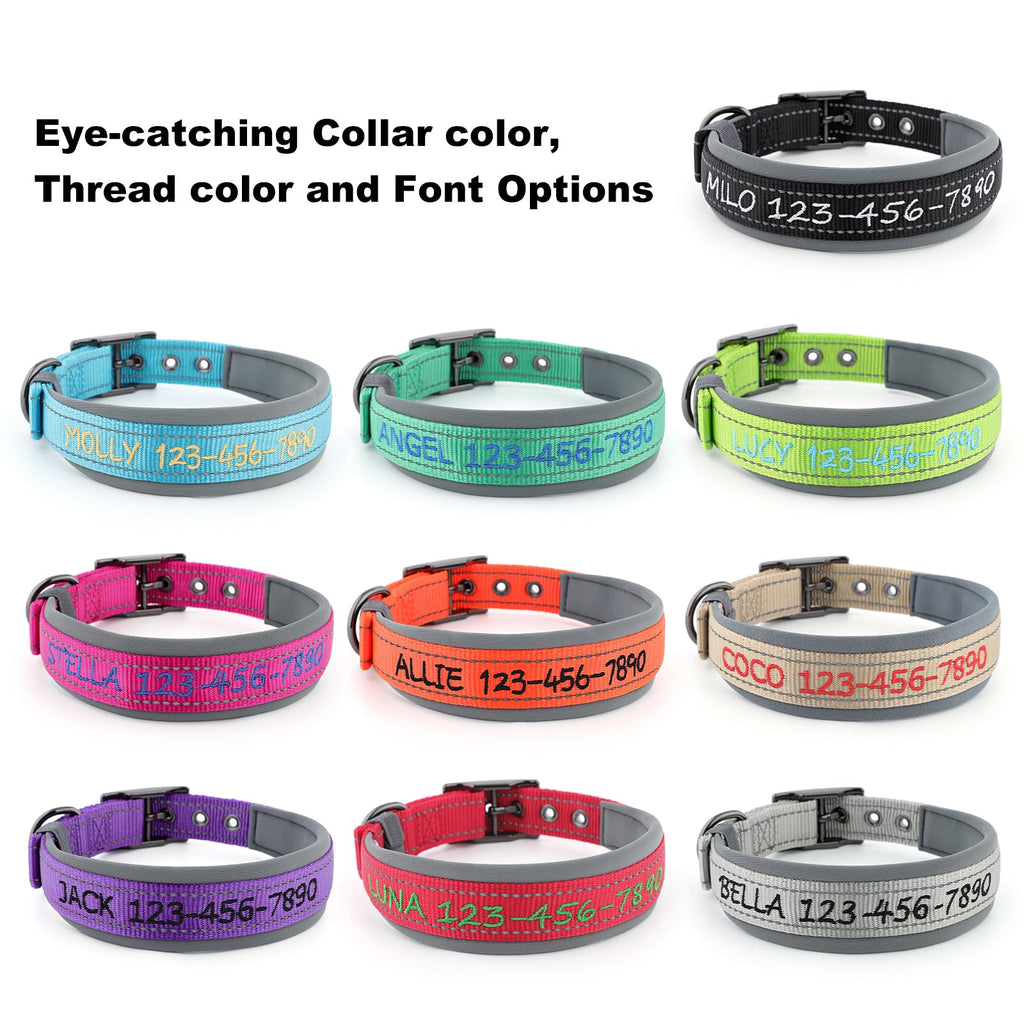 Personalized Dog Collar E276