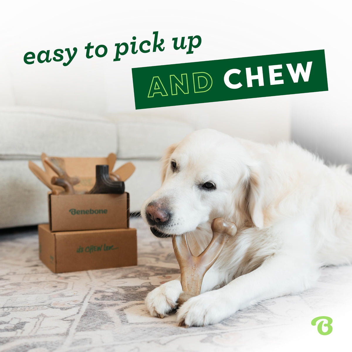 Medium 4-Pack Dog Toys A778