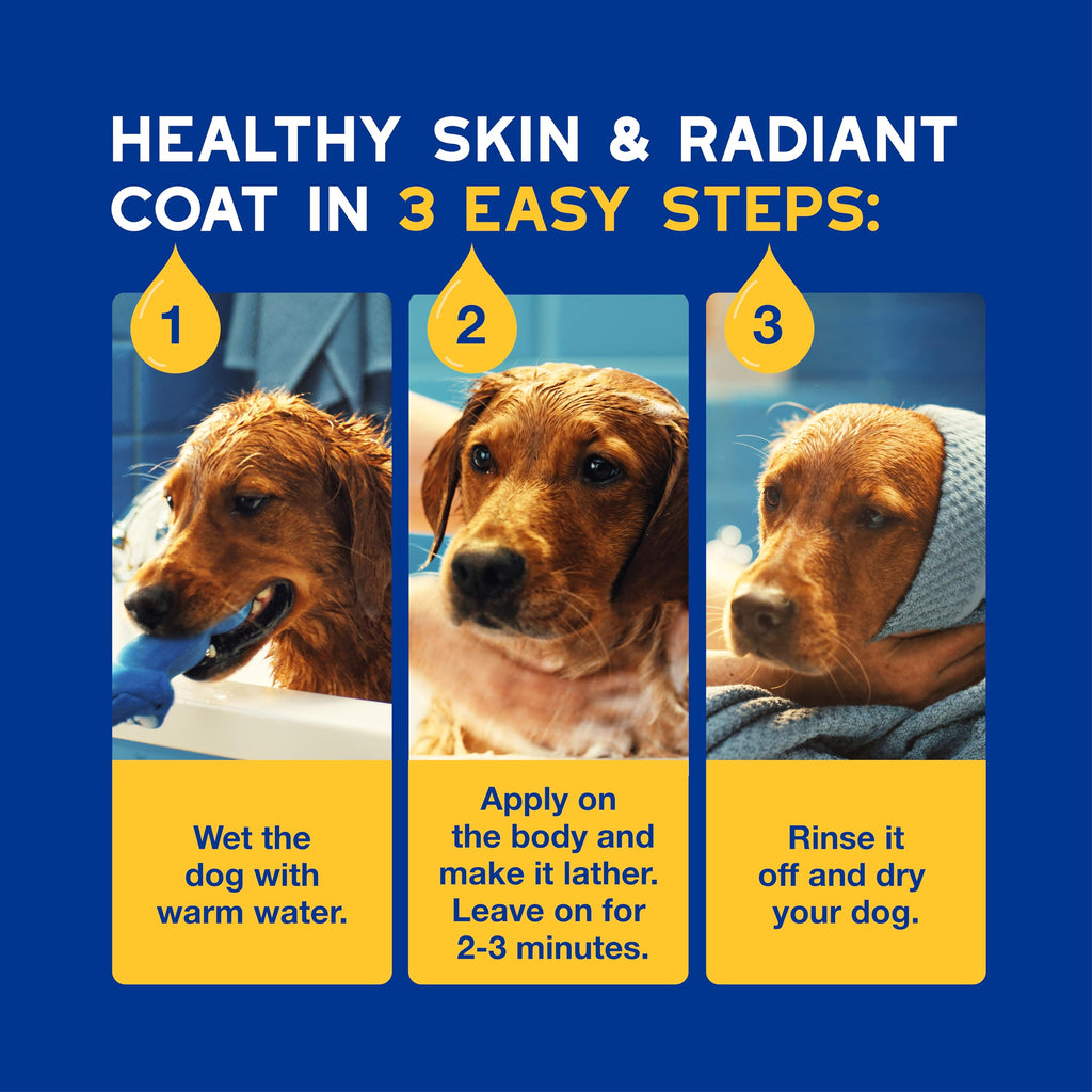 Oatmeal Dog Shampoo, 16 fl oz B765