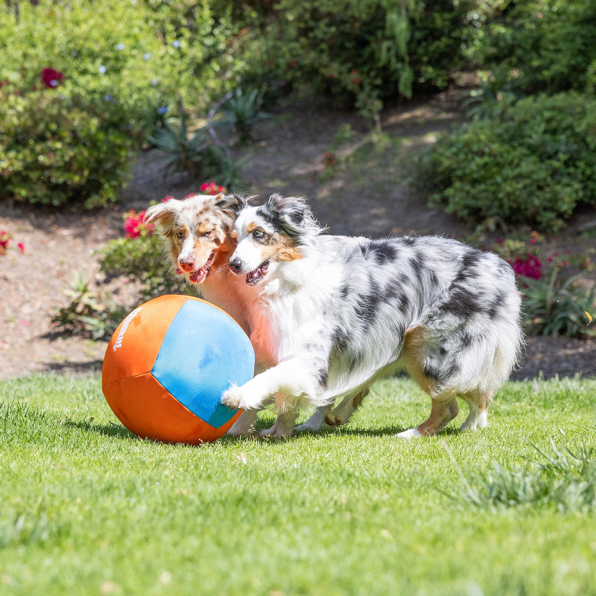 Dog Toy V7179