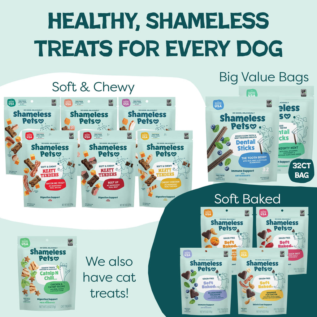 Mighty Mint Dental Chews for Dogs 18ct L67166