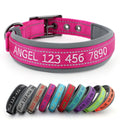 Personalized Dog Collar E276