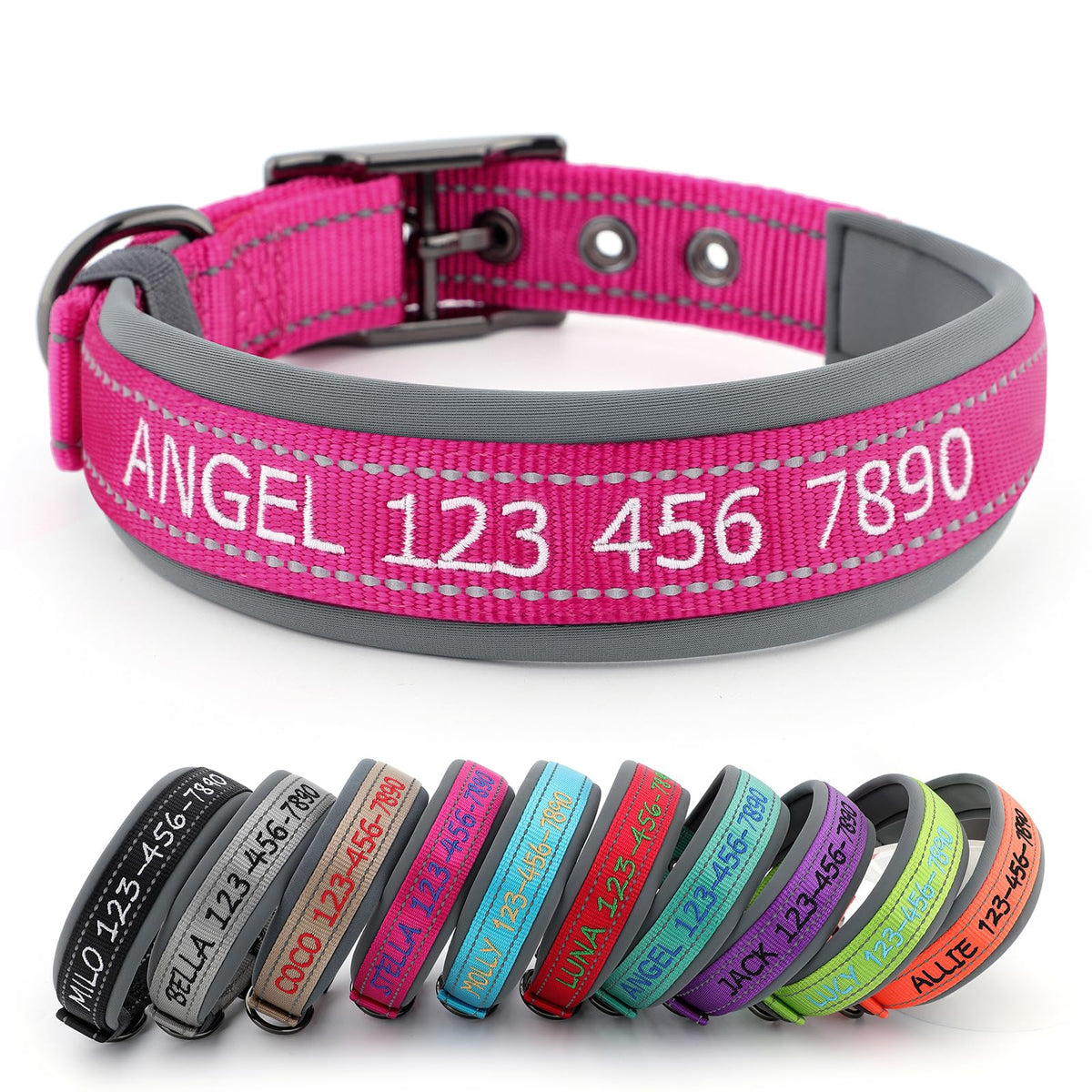 Personalized Dog Collar E276