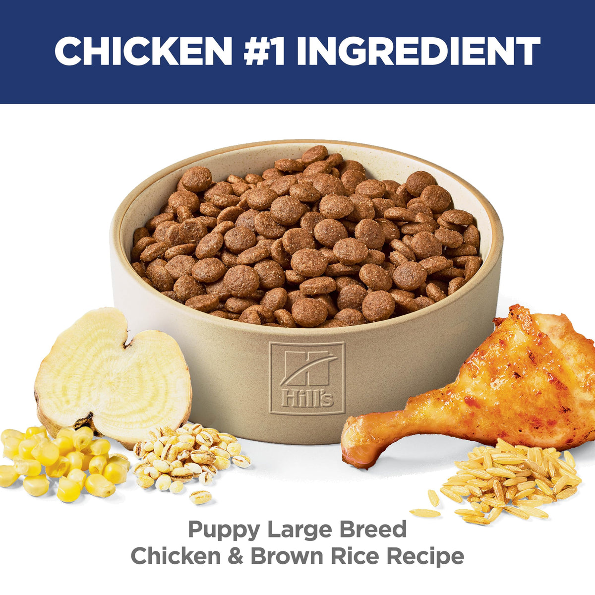 Dry Dog Food J2979